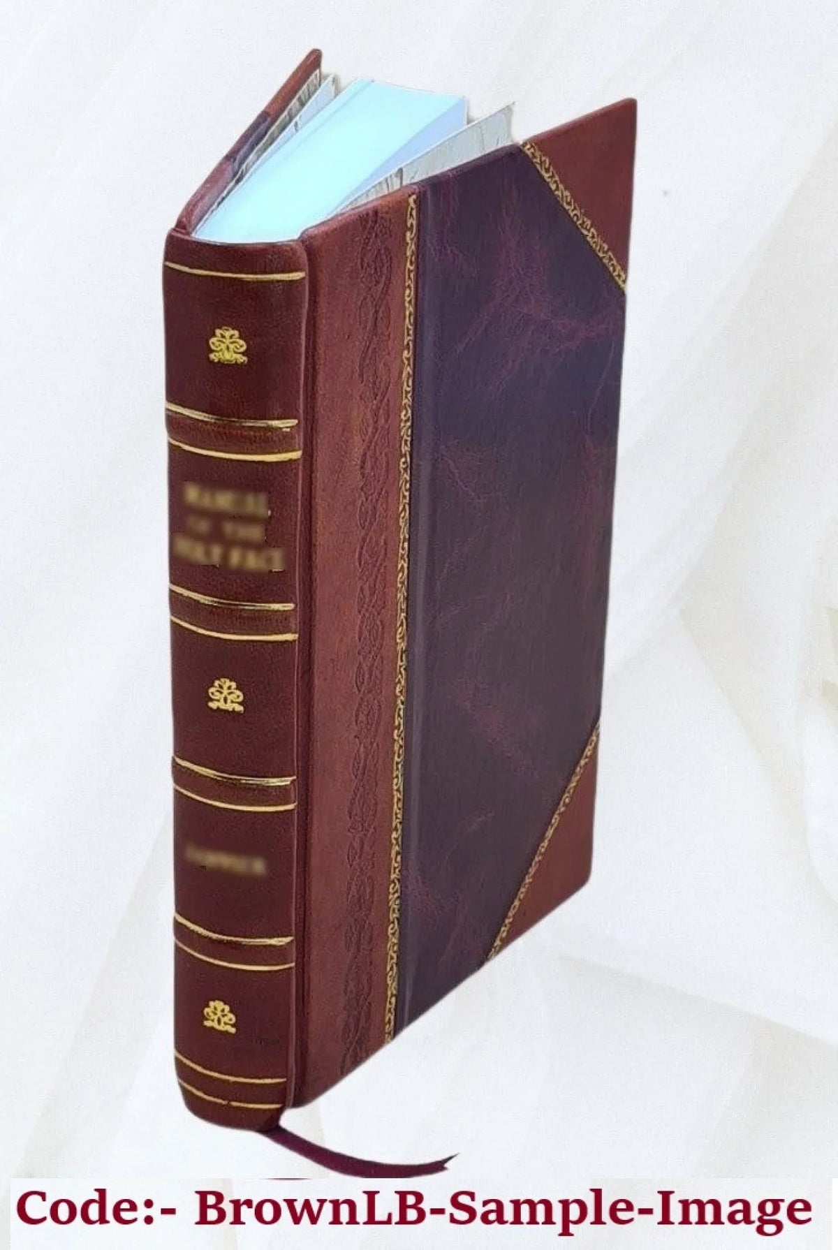 Premium Amadas et Ydoine: poÃ¨me d'aventures 1863 [Leather Bound]